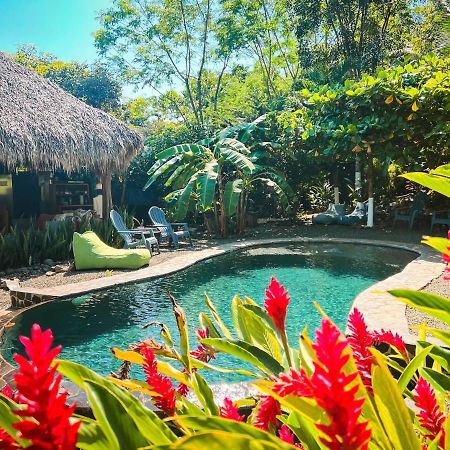 Glamping Hotel Flor Y Bambu Playa Grande Exterior photo