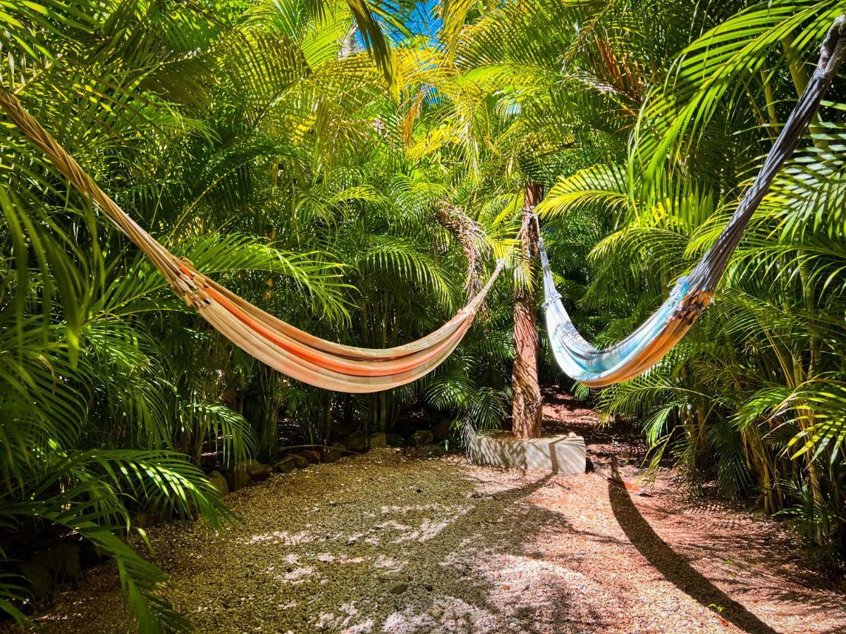 Glamping Hotel Flor Y Bambu Playa Grande Exterior photo