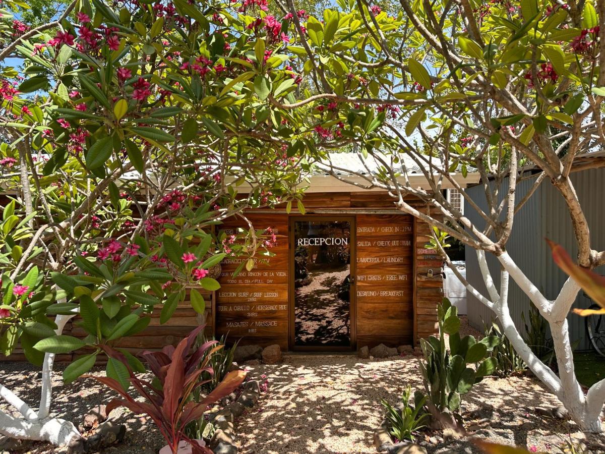 Glamping Hotel Flor Y Bambu Playa Grande Exterior photo