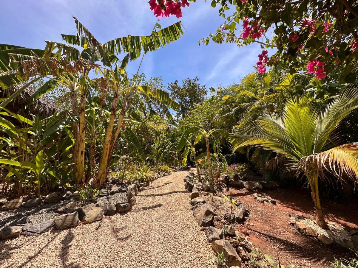 Glamping Hotel Flor Y Bambu Playa Grande Exterior photo