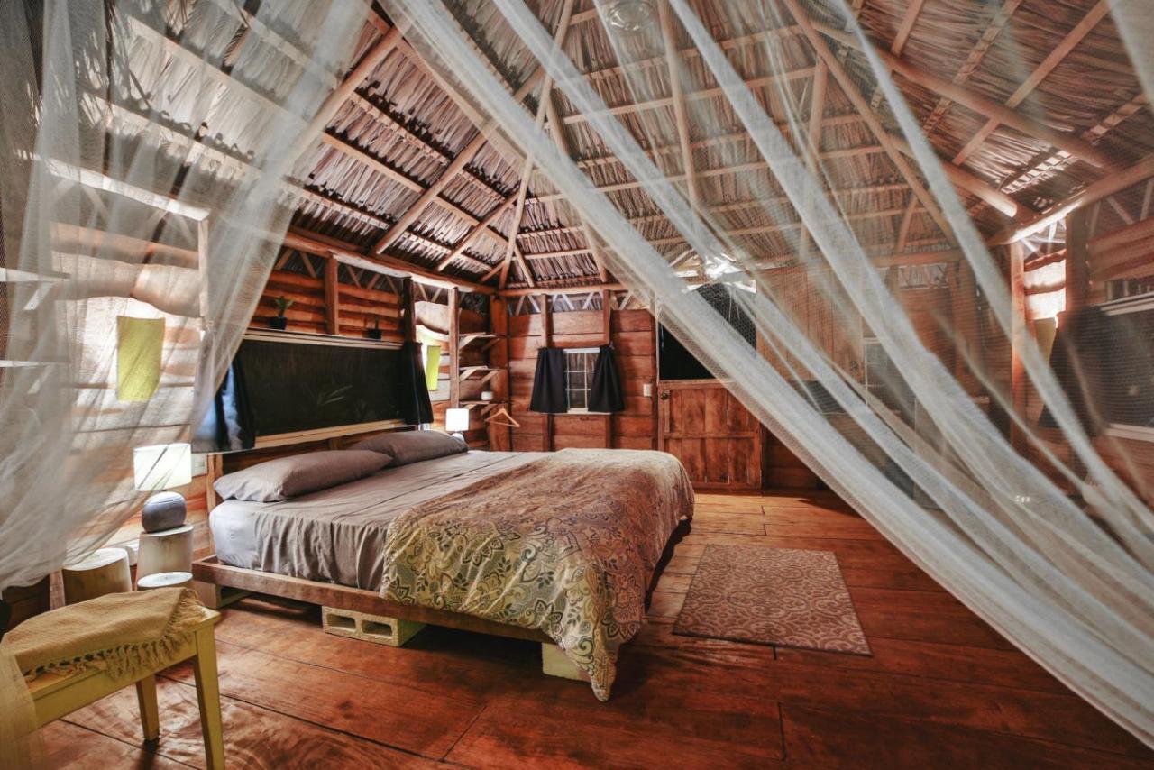 Glamping Hotel Flor Y Bambu Playa Grande Exterior photo