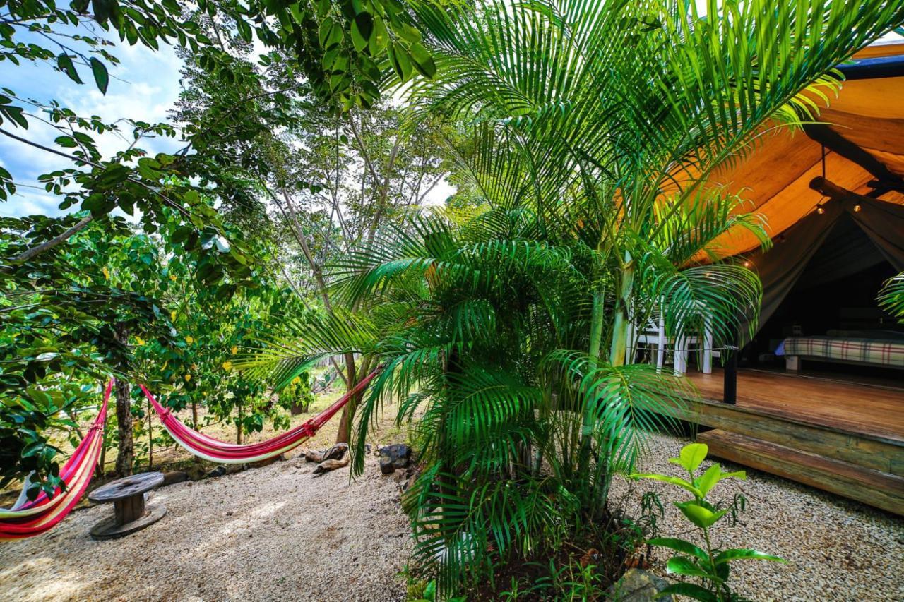 Glamping Hotel Flor Y Bambu Playa Grande Exterior photo
